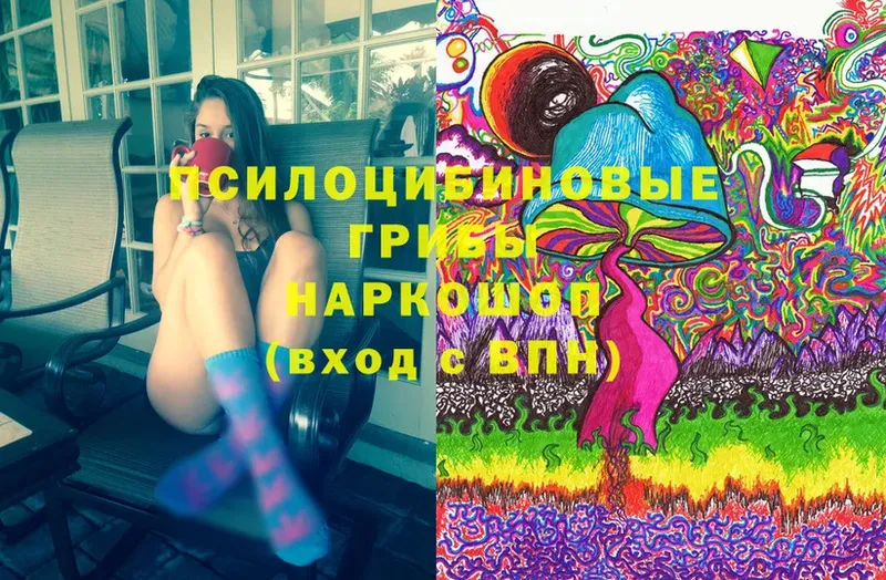 Псилоцибиновые грибы MAGIC MUSHROOMS  Белокуриха 